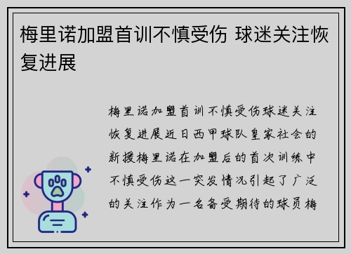 梅里诺加盟首训不慎受伤 球迷关注恢复进展